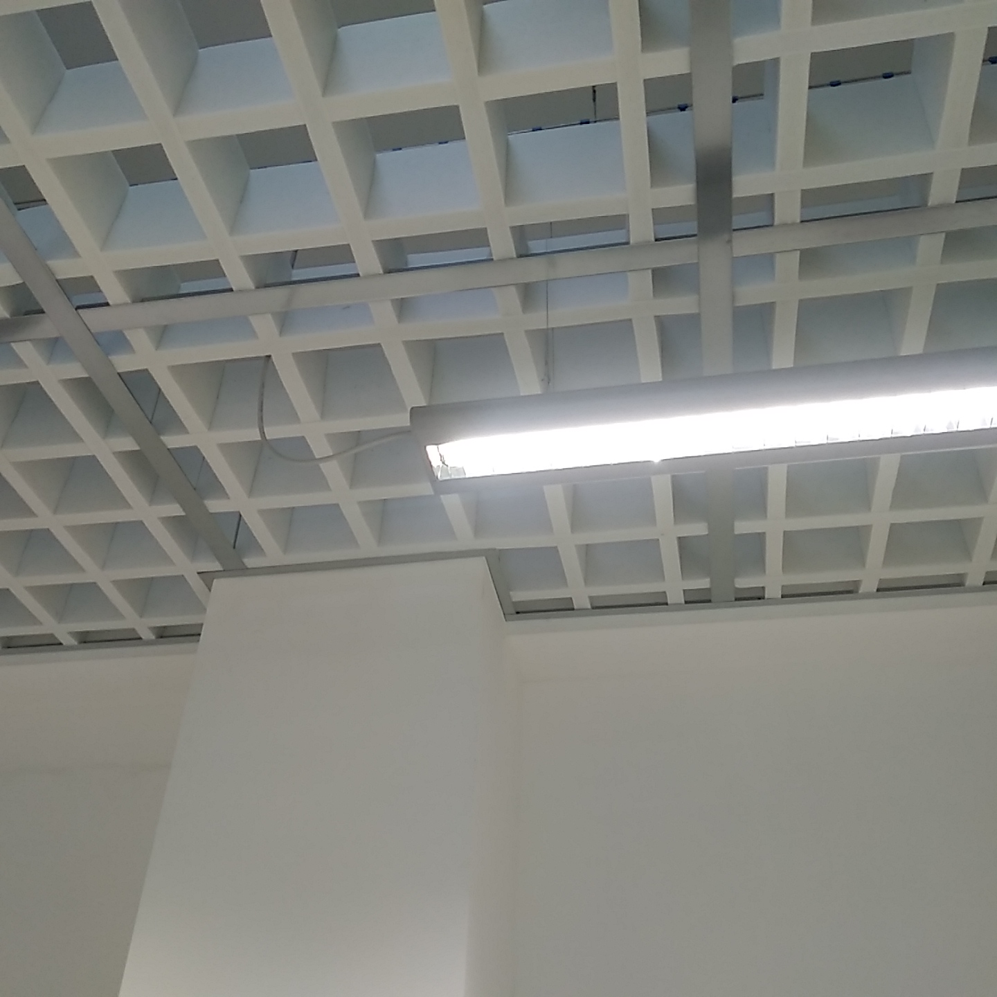 20190131 152155